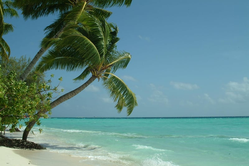 Exotic Travel Destination